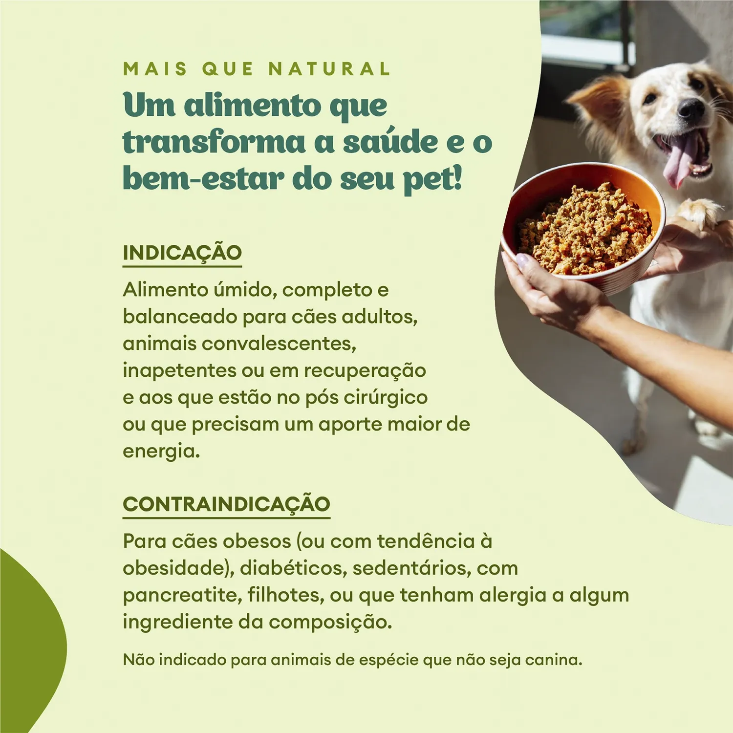 Indicacao e Contraindicacao